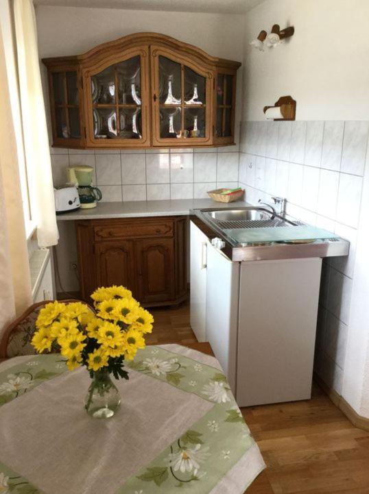 Pension Elblinge Apartment Prossen Екстериор снимка