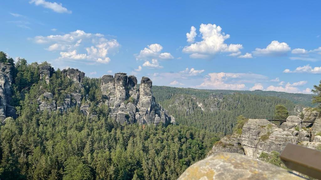 Pension Elblinge Apartment Prossen Екстериор снимка